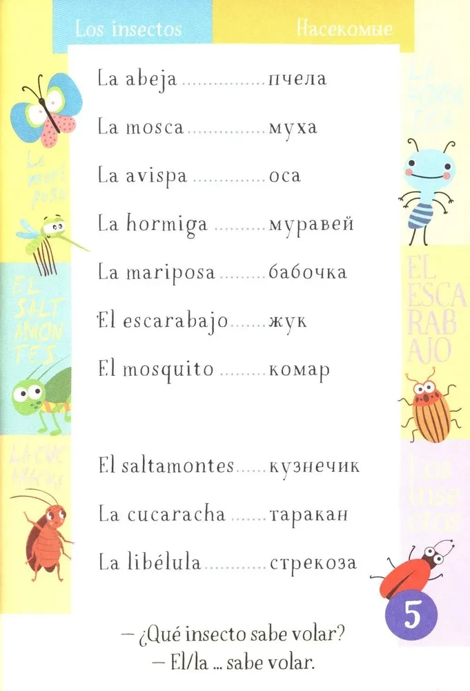 500 spanischer Wörter. Wörterbuch-Trainingshilfe. Niveau 1