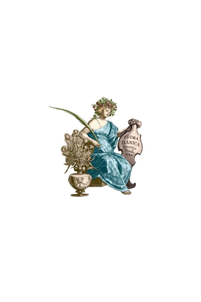 Der verzauberte Garten. Der Maibaum, das Farnblümchen und andere Legenden über Pflanzen
