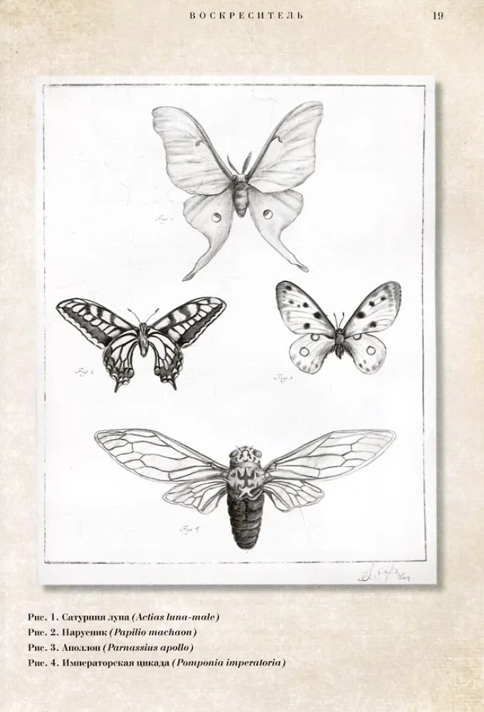 Der Wiederbelebende, oder Anatomie fantastischer Wesen. Verlorenes Werk von Dr. Spencer Black