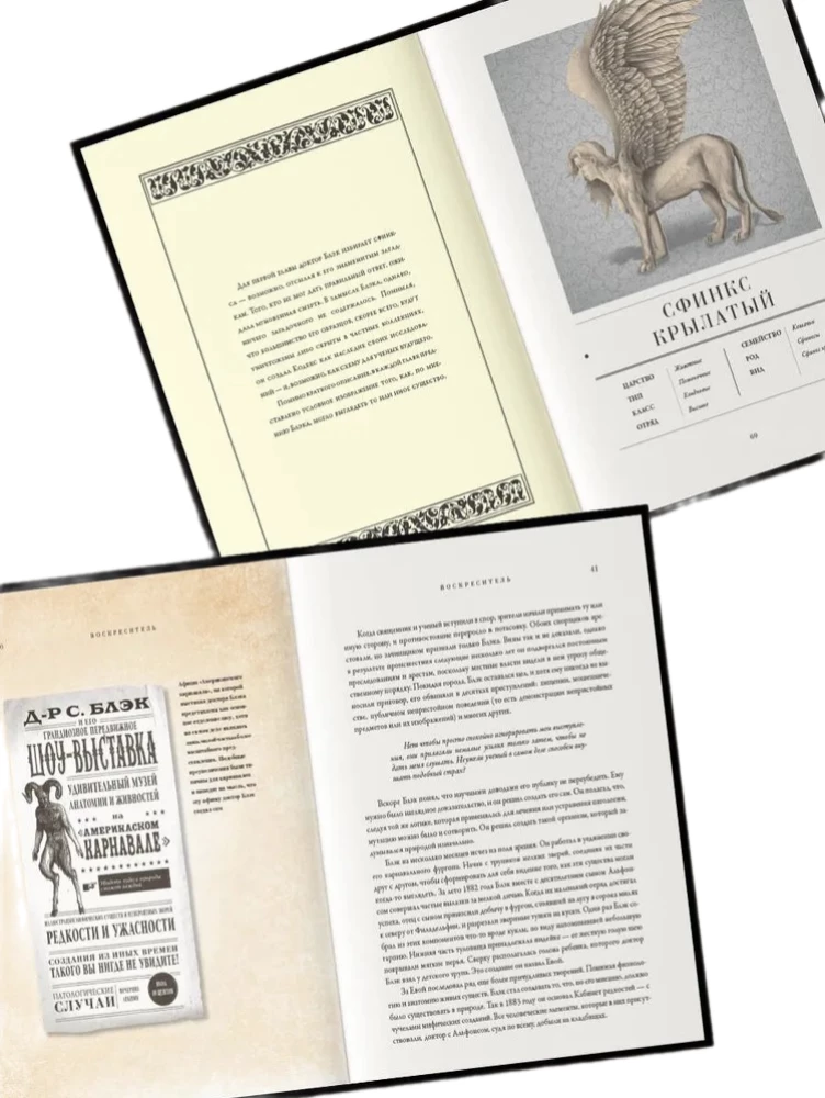 Der Wiederbelebende, oder Anatomie fantastischer Wesen. Verlorenes Werk von Dr. Spencer Black