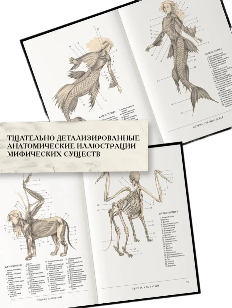 Der Wiederbelebende, oder Anatomie fantastischer Wesen. Verlorenes Werk von Dr. Spencer Black