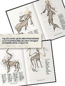 Der Wiederbelebende, oder Anatomie fantastischer Wesen. Verlorenes Werk von Dr. Spencer Black