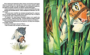 Das Dschungelbuch. Die Geschichte von Mowgli