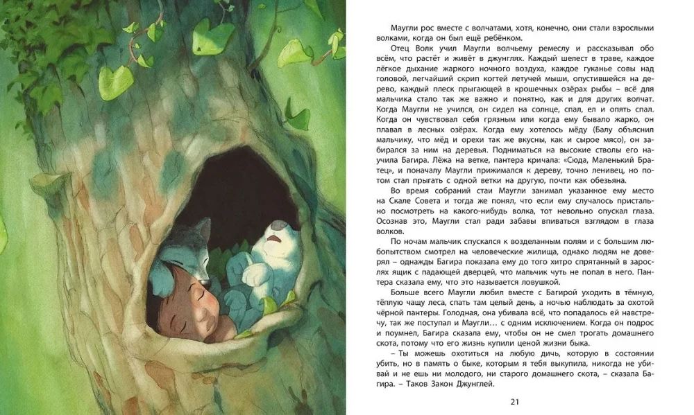 Das Dschungelbuch. Die Geschichte von Mowgli
