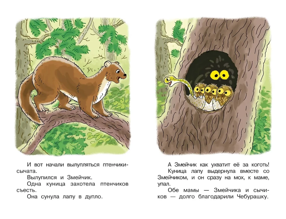 Opowieści o Czeburaszce