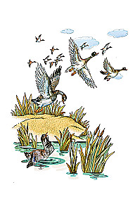 The Traveling Frog and Other Tales