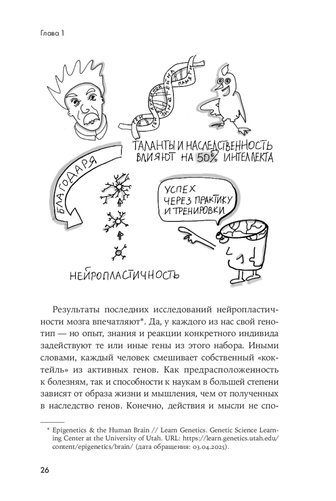 Smegenys tvarkoje. Kaip pagerinti atmintį, susidoroti su perkrovimu ir sugrąžinti proto aiškumą