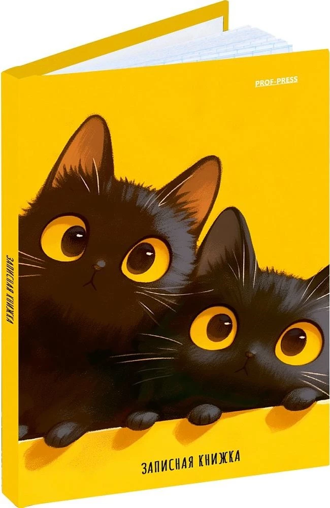 Notebook - Two Black Kittens, A6
