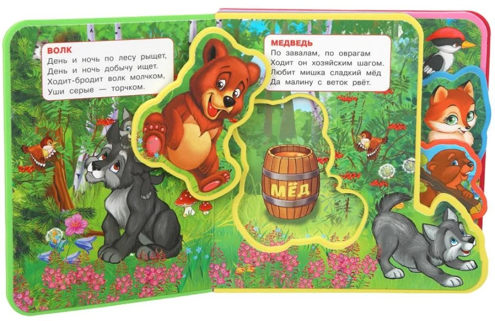 Zwierzęta leśne