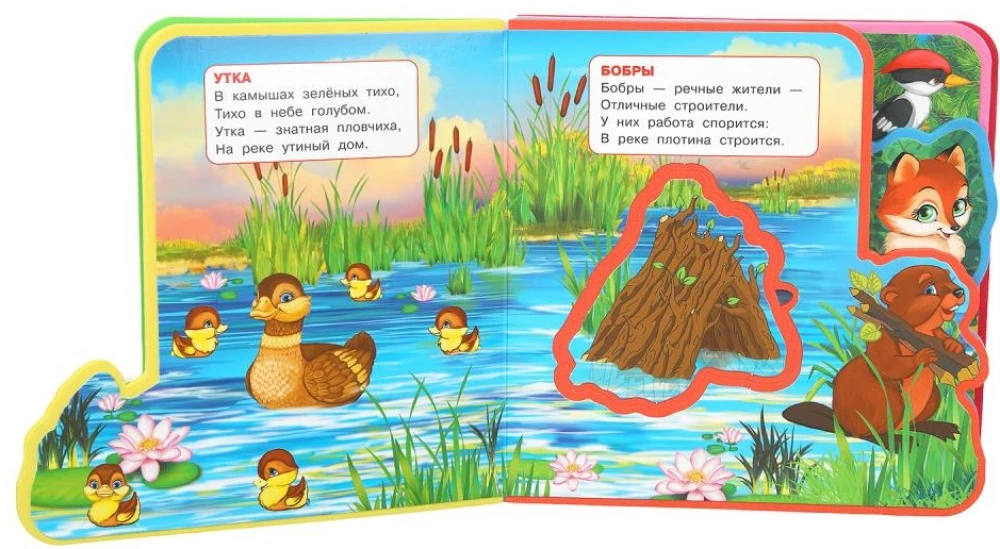Zwierzęta leśne