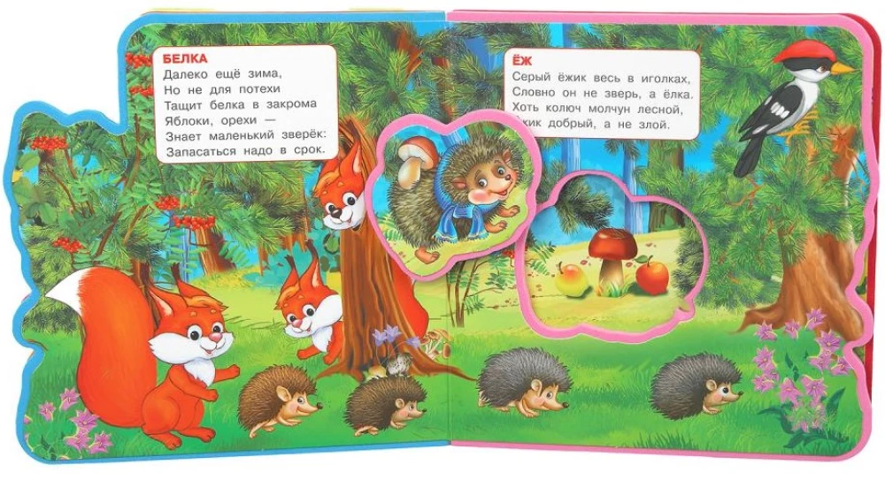 Zwierzęta leśne