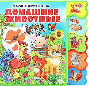 Zwierzęta domowe