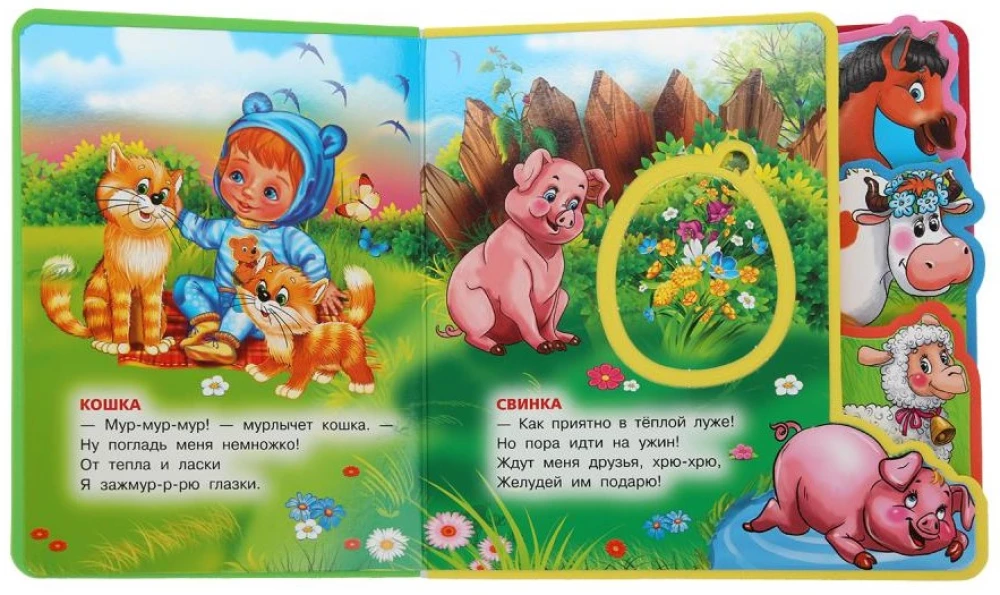 Zwierzęta domowe