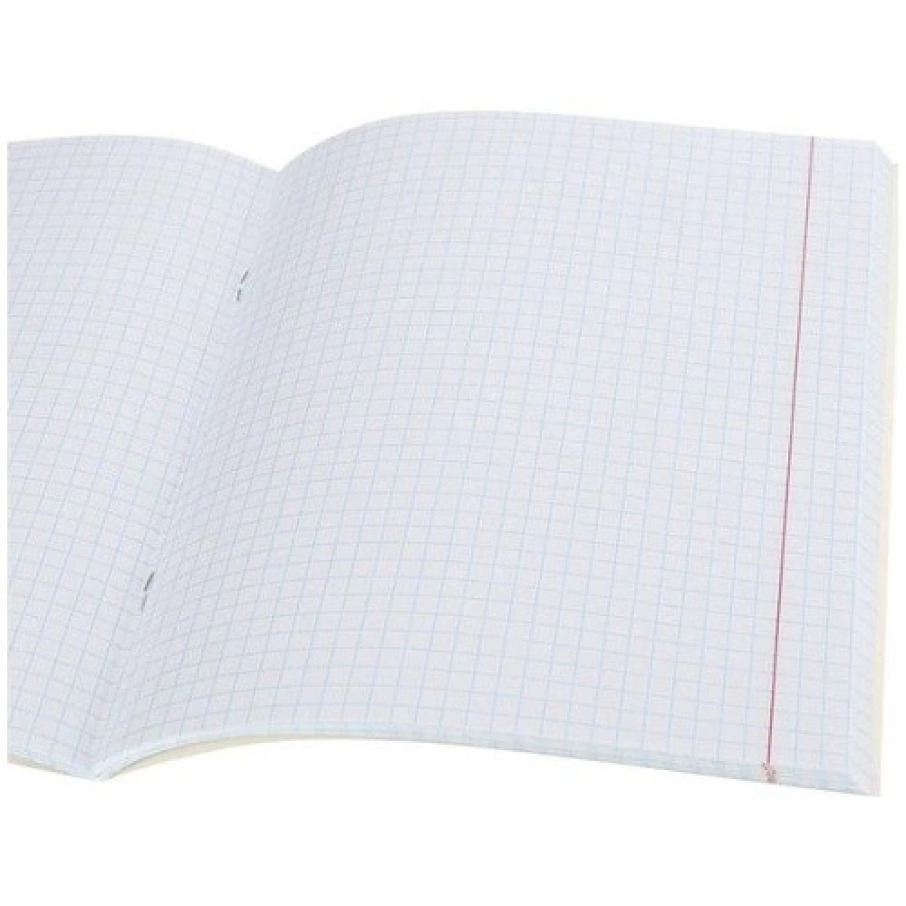 Grid Notebook. City in Pink Color