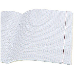 Grid Notebook. City in Pink Color