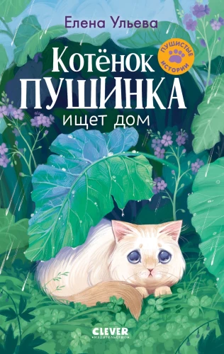 Kassipoeg Puhh otsib kodu