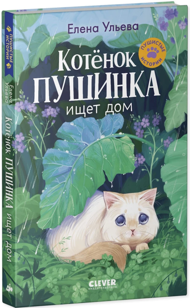Kassipoeg Puhh otsib kodu