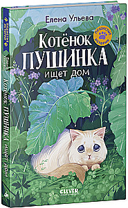 Kassipoeg Puhh otsib kodu