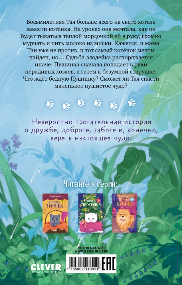 Kassipoeg Puhh otsib kodu