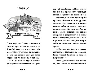 Karvased lood. Kassipoeg Pljuša otsib peret