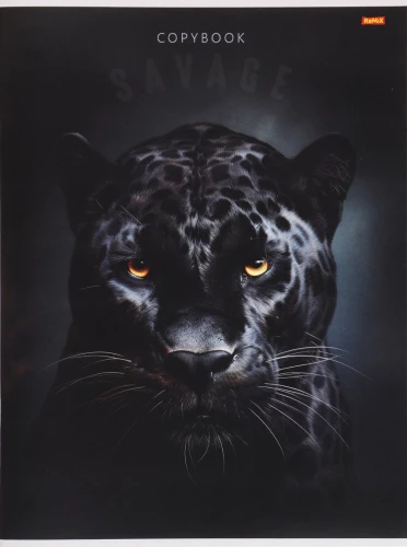 Notebook - Wild Kitten, A4, 96 sheets, grid