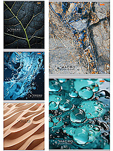 Notizbuch - Natur nah, A5, 48 Blätter, kariert, in assortierten Farben