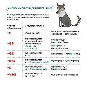 Visos anglų kalbos taisyklės pradedantiesiems po viena viršeliu. Plakatas-savamokslis