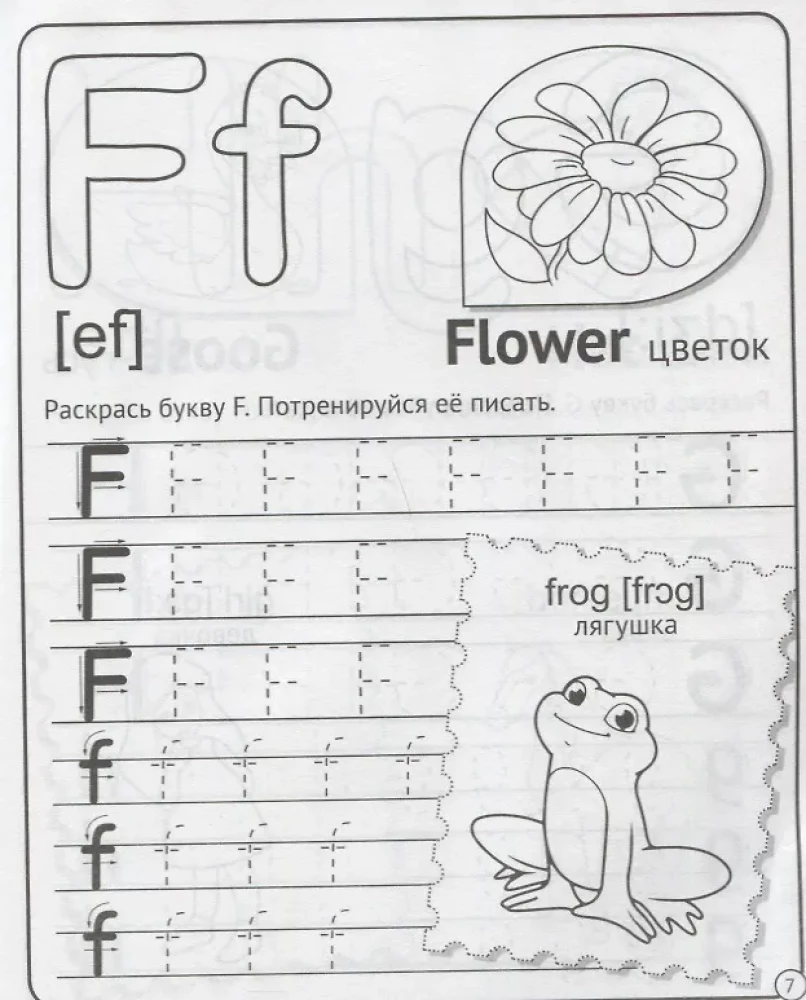 Anglų abėcėlė ir skaičiai