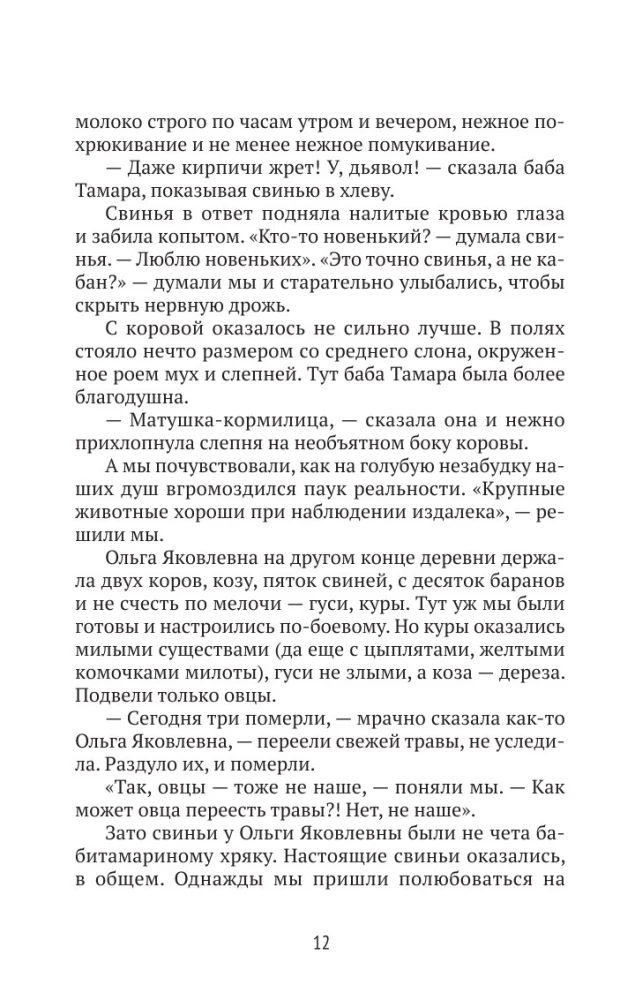 Городские в деревне, или Вечное лето