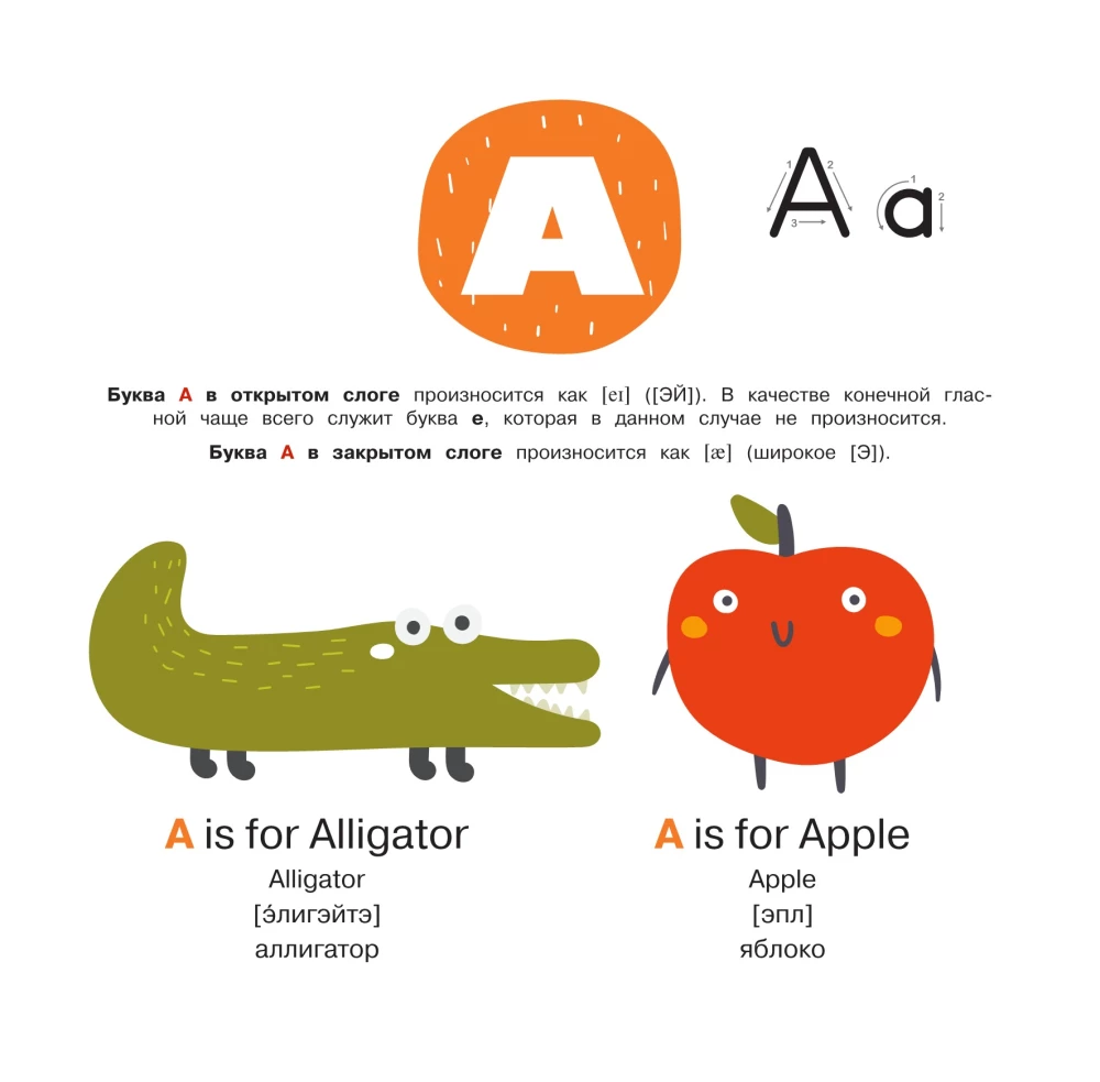 English Language. Illustrated Primer. Self-Teaching Poster