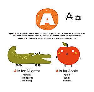 English Language. Illustrated Primer. Self-Teaching Poster