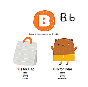 English Language. Illustrated Primer. Self-Teaching Poster
