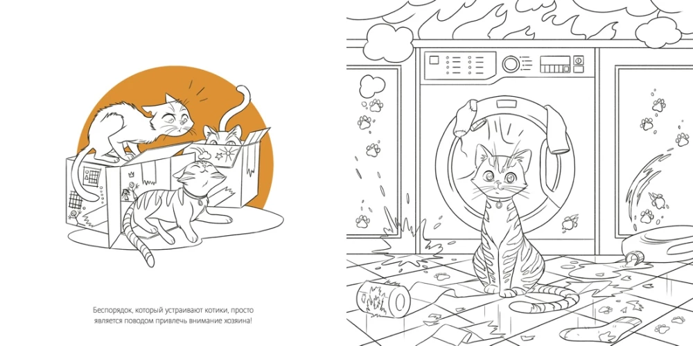 Cats