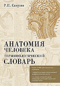 Human Anatomy. Terminological Dictionary