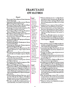 Die Bibel. Neues Testament