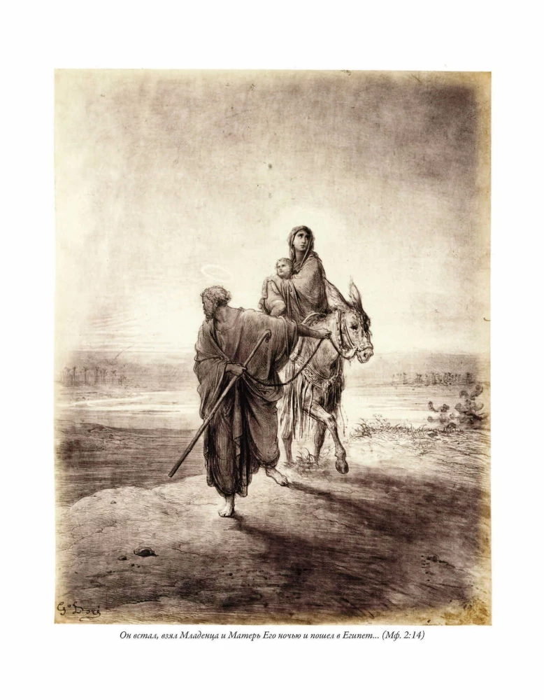 Die Bibel. Neues Testament