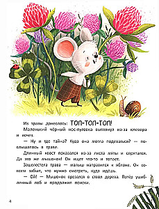 Top-Top and the Mysterious Garden