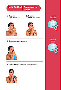 Face Yoga. The Youth Formula