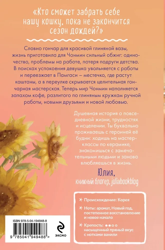 Katė iš dirbtuvės