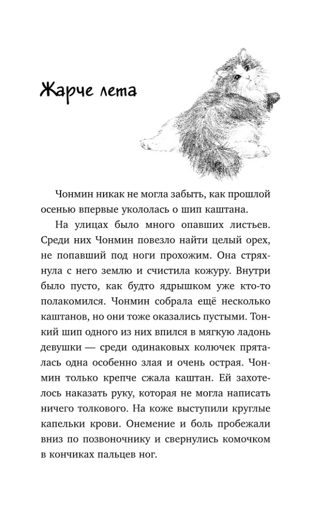 Katė iš dirbtuvės
