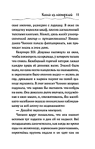 Katė iš dirbtuvės