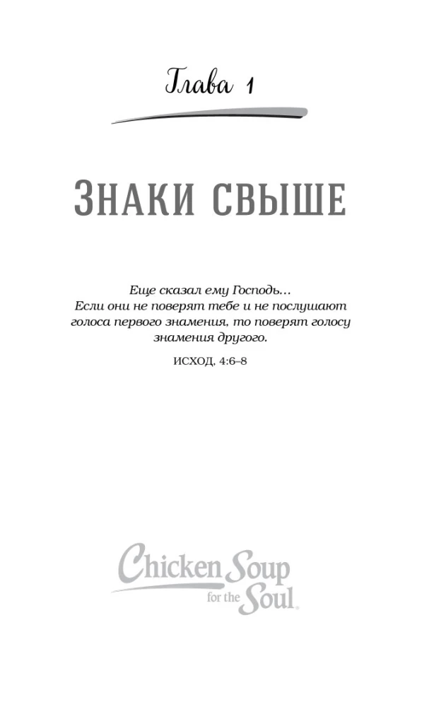 Vištienos sultinys sielai. Stebuklai vyksta (dovanų įpakavimas)
