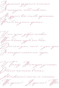 Letter to the Past. A Novel in Verse