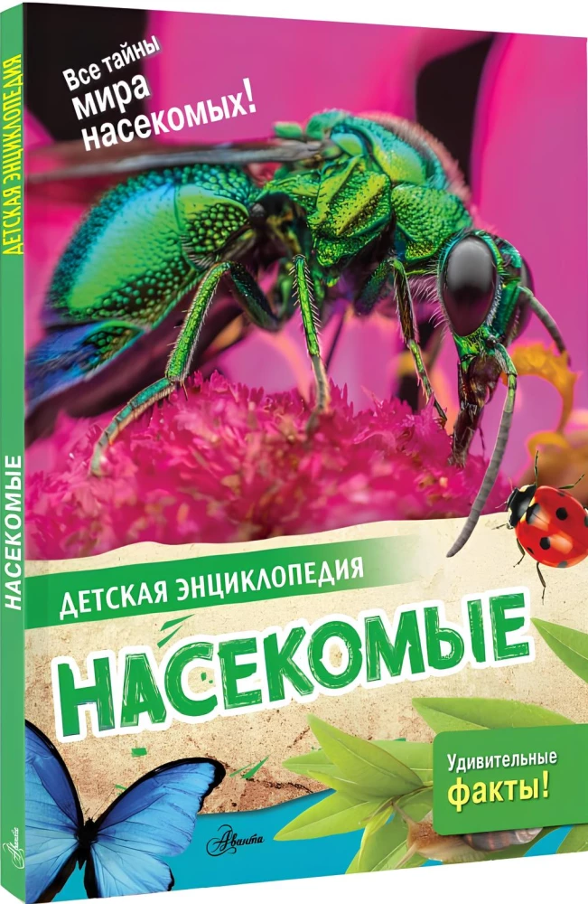 Insects