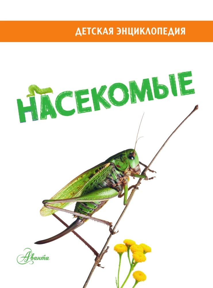 Insects