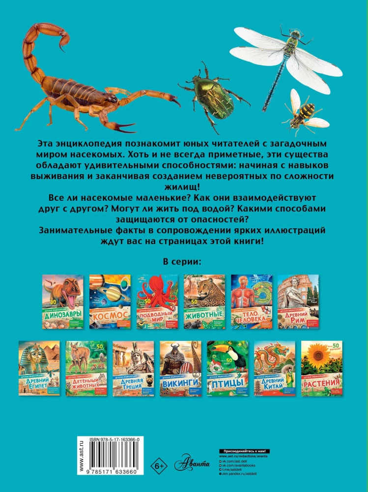 Insects