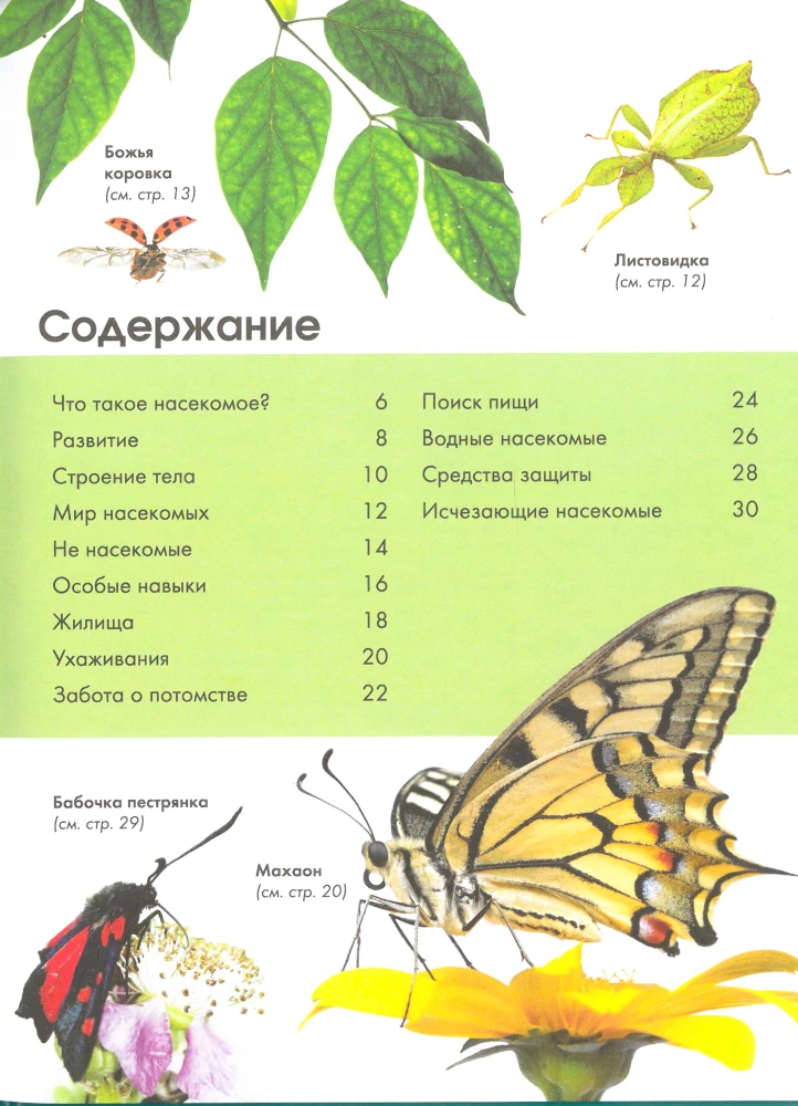 Insects