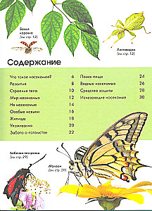 Insects