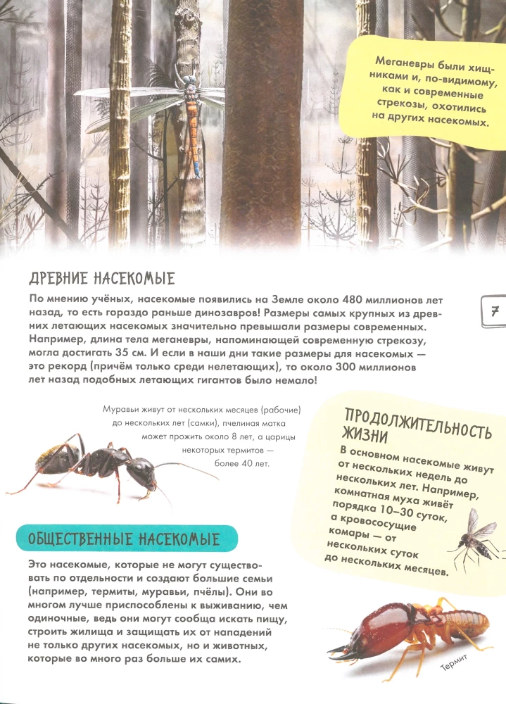 Insects