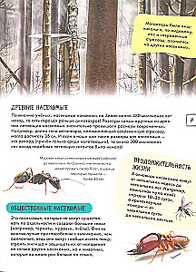 Insects